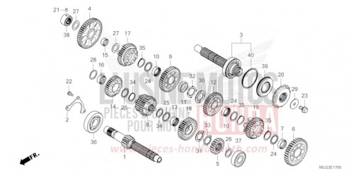 TRANSMISSION (MT) CRF1100A4N de 2022
